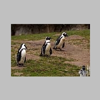 2025_03_01_OPEL_Zoo_IMG_5866.jpg